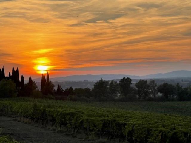 Podere Borgaruccio Peccioli Exterior foto