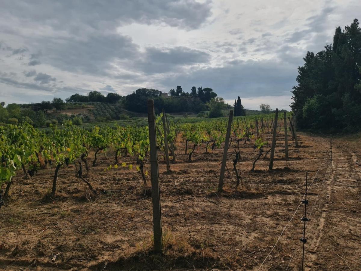 Podere Borgaruccio Peccioli Exterior foto