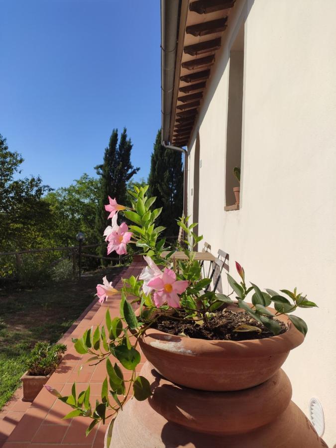 Podere Borgaruccio Peccioli Exterior foto