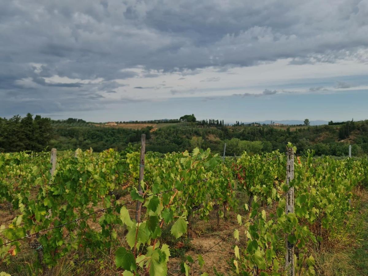 Podere Borgaruccio Peccioli Exterior foto