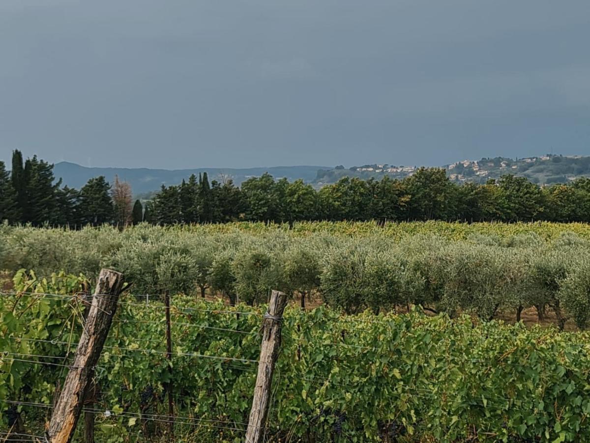 Podere Borgaruccio Peccioli Exterior foto